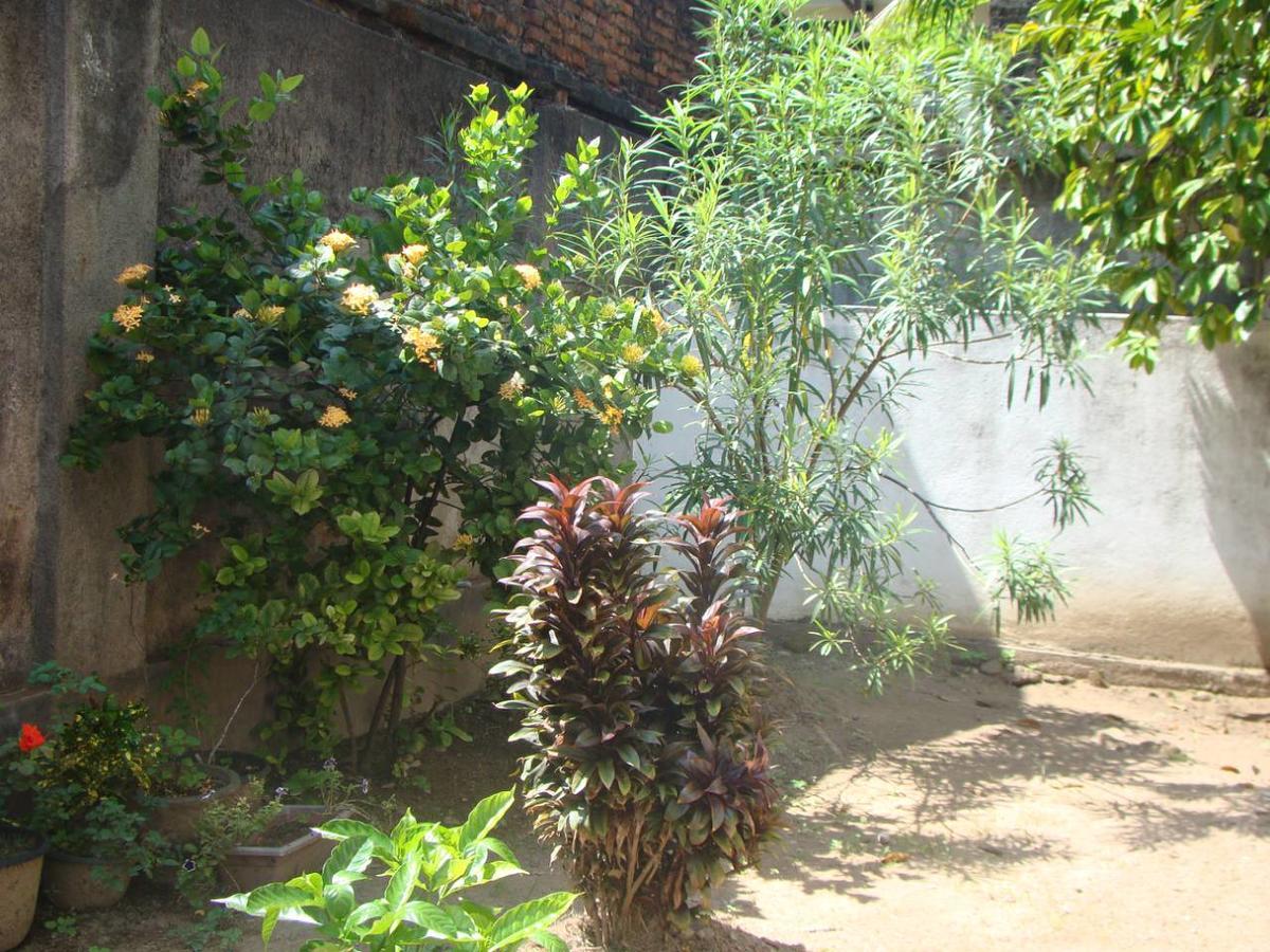 Moragalla Dilu Villa Beruwala Exterior foto
